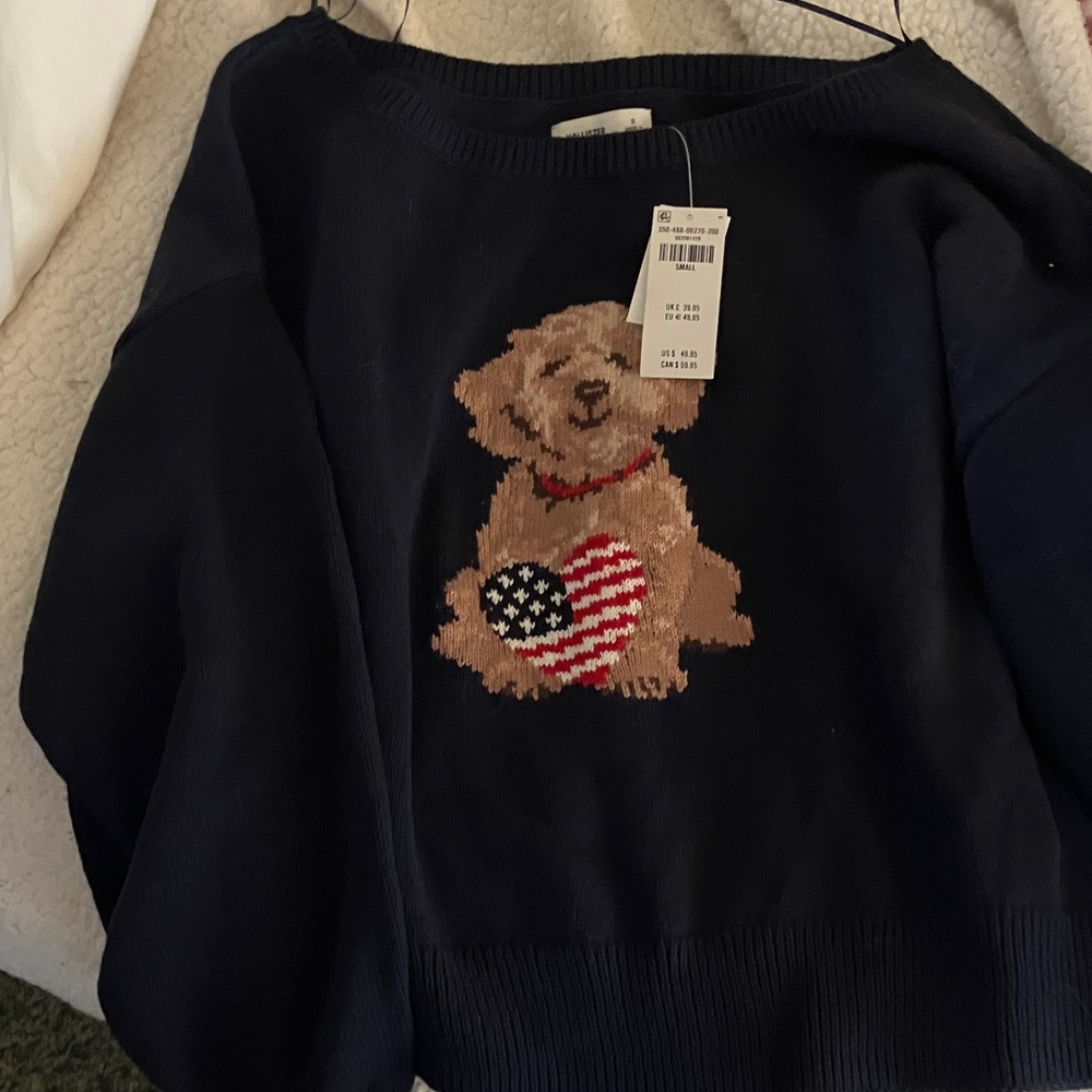 Hollister Navy Sweater with Bear Design